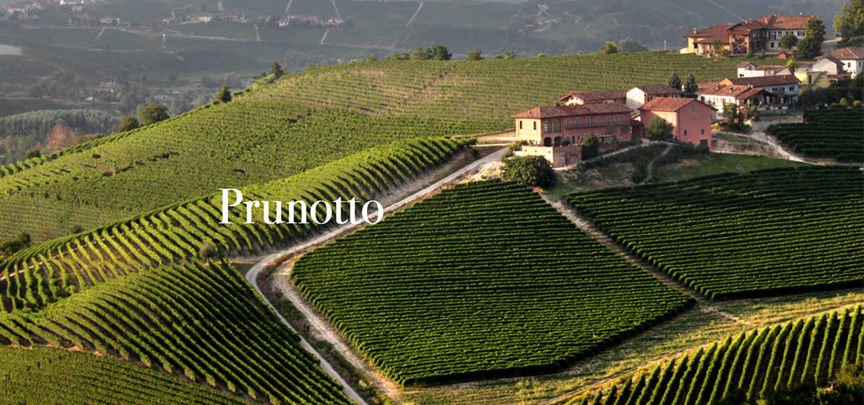 Prunotto
