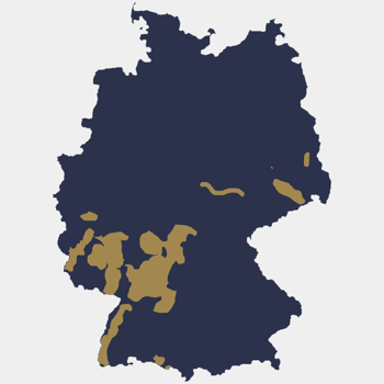 Weinbau als systematische Rebkultur gelangte...