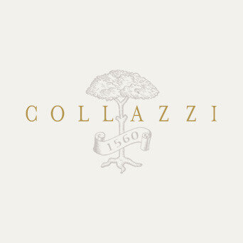 Collazzi