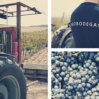 Weingut Ego Bodegas