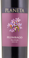 2022 Plumbago Planeta BIO