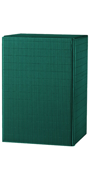 6er Präsentkarton grün Offene Welle WK 3643
