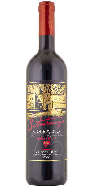 Settantacinque Copertino Rosso Riserva 2010