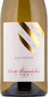 Sauvignon 2020
