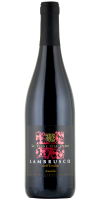 Lambrusco dellEmilia Le Vigne dellOlmo Amabile