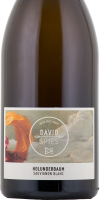 Dittelsheimer Sauvignon Blanc Holunderbaum trocken 2022 Magnum