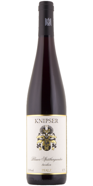 Blauer Spätburgunder 2019