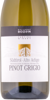 Pinot Grigio 2024